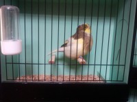 /album/%cf%84%ce%b1-%cf%80%ce%bf%cf%85%ce%bb%ce%ac%ce%ba%ce%b9%ce%b1-%ce%bc%ce%b1%cf%82/a2011-10-28-17-57-38-jpg/